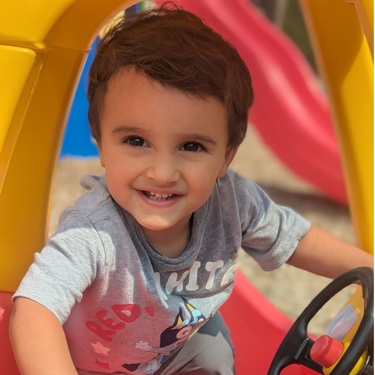 Children learning and playing at Apples and Books Learning Center
